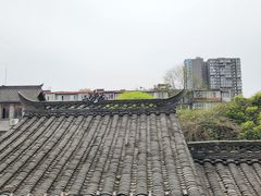 -星巴克臻选(成都宽窄巷子店)