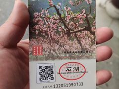 -苏州上方山国家森林公园