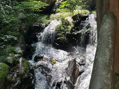 -藏龙百瀑风景区