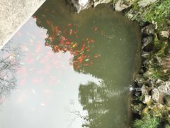 君来梁溪饭店中餐厅-君来梁溪饭店-餐厅