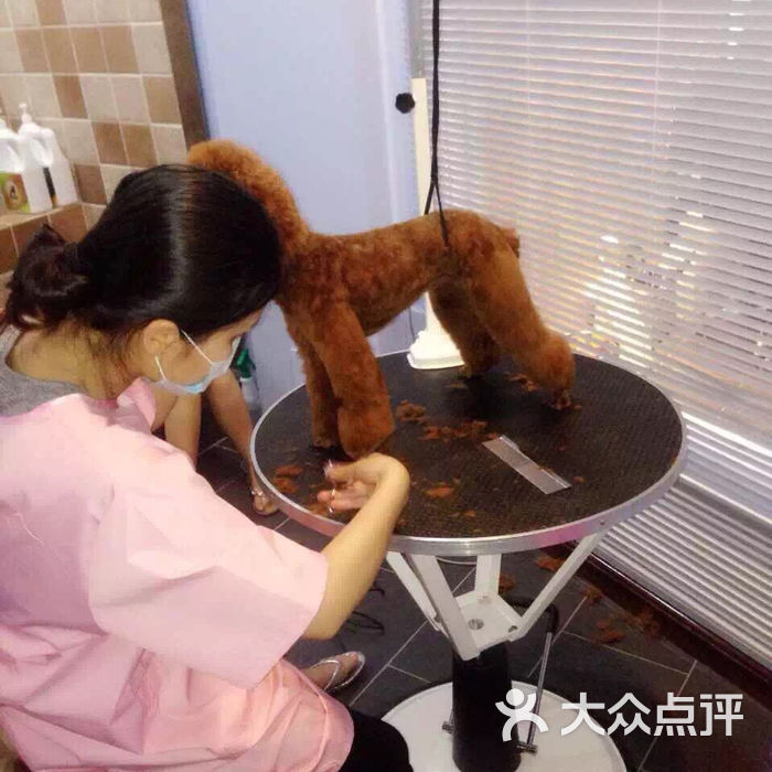 new pet新宠宠物护理中心