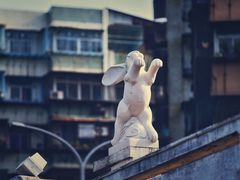 -中山公园