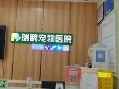 -瑞鹏宠物医院·夜间急症·心超·猫科(祖庙分店)