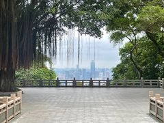 -广州市白云山风景名胜区
