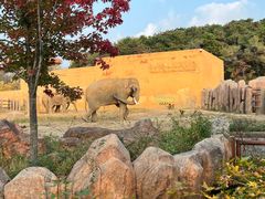 -沈阳森林动物园