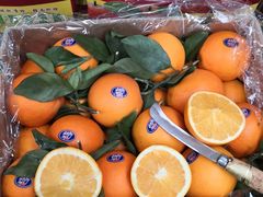 -上海龙吴水胜海发市场