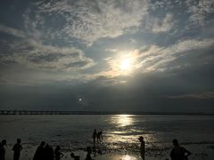 -宝安西湾红树林湿地公园