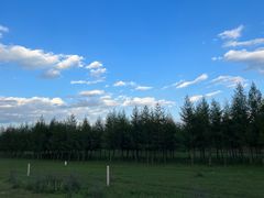 -塞罕坝国家级自然保护区