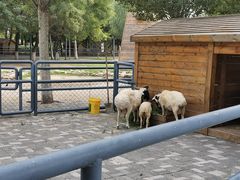 -长白岛森林公园