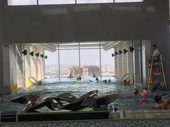 -上海浦东康桥绿地假日酒店