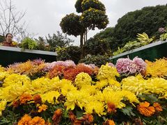 -南山植物园