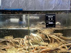 -海鲜e族(马王堆店)