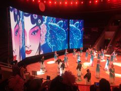 内景舞台表演-武汉杂技厅