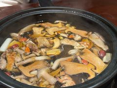 -滇野云南野生菌餐厅(陕西南路店)