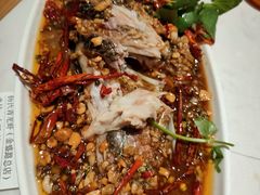 -杨氏青龙虾·羊蝎子(金盛路总店)