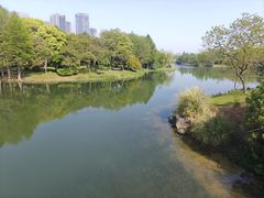 -尚贤河湿地