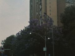 -莉莉家的音乐花园餐吧(航空路店)