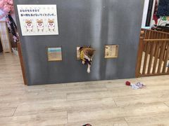 -豆柴町-柴犬主题狗咖(红鼎国际C座店)