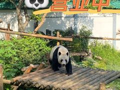 -红山森林动物园