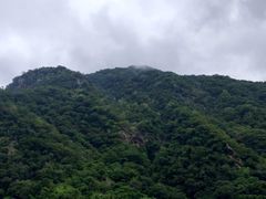 -太鲁阁公园