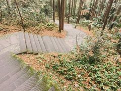 -凤栖山
