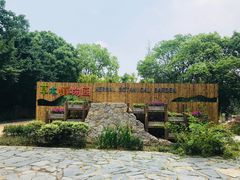 -同里国家湿地公园