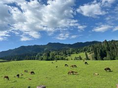 -新疆那拉提国家旅游度假区