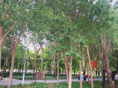 -长春公园(普阳街道)