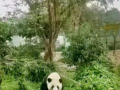 -武汉动物园