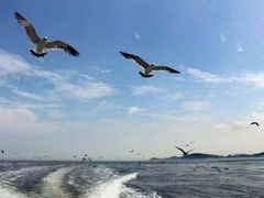 -海驴岛(荣成市)