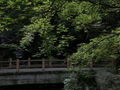 -藏龙百瀑风景区