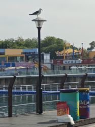 -星海水上乐园(星海广场圣亚店)