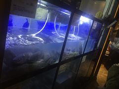 -严厨老坛酸菜鱼(吴江万宝店)