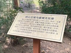 -东山风动石景区