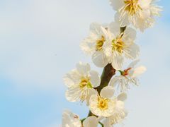 -广州市流溪河国家森林公园