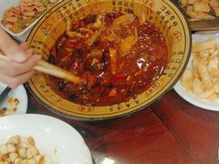 -邵年鸽(杨庄店)