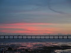 -宝安西湾红树林湿地公园