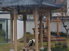 -无锡动物园·太湖欢乐园
