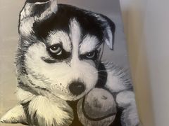 -Husky Go! 哈士奇体验馆·宠物咖啡厅狗咖