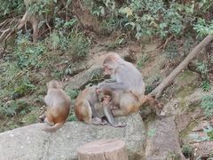 -姑婆山旅游区
