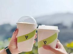 -白茶原·一片叶子
