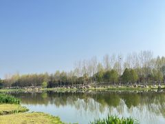 -滨湖塘西河公园