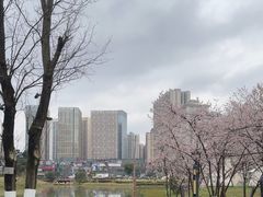 -花果园湿地公园