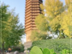 -玲珑塔公园
