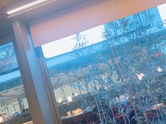 -蛙小侠(珠海华发商都店)