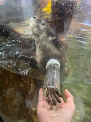 -Zoolung Zoolung动物主题公园(海信广场店)