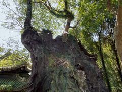 -台州府城(江南长城)