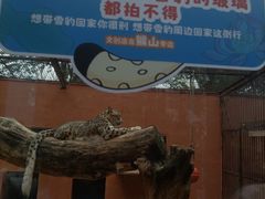 -青藏高原野生动物园