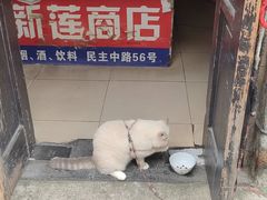 -连云港民主路老街