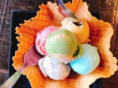 -莓园冰淇淋店